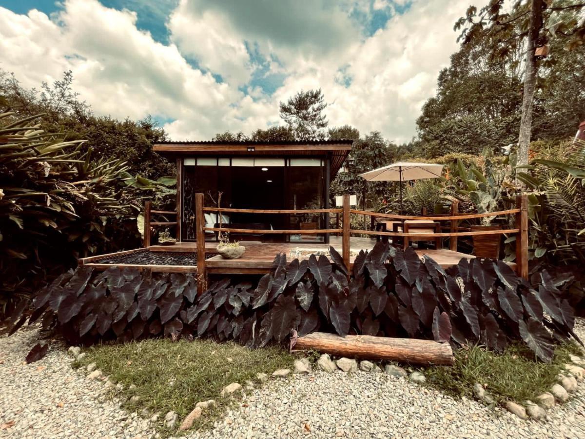 Hotel Glamping Salento Con Jacuzzi Climatizado Exteriér fotografie