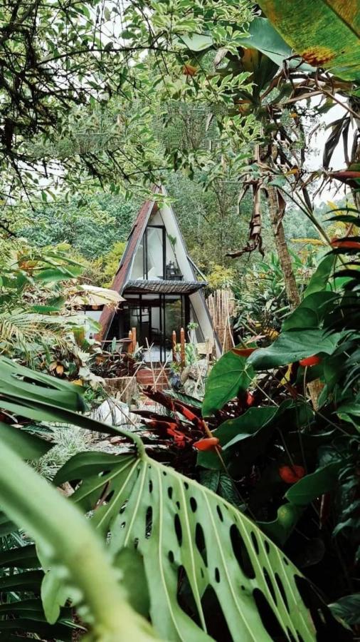 Hotel Glamping Salento Con Jacuzzi Climatizado Exteriér fotografie
